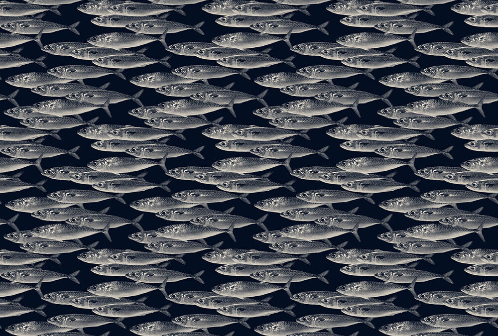 Opakujúci sa vzor Časť 1. – Návrh