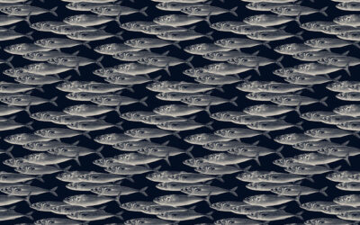 Opakujúci sa vzor Časť 1. – Návrh