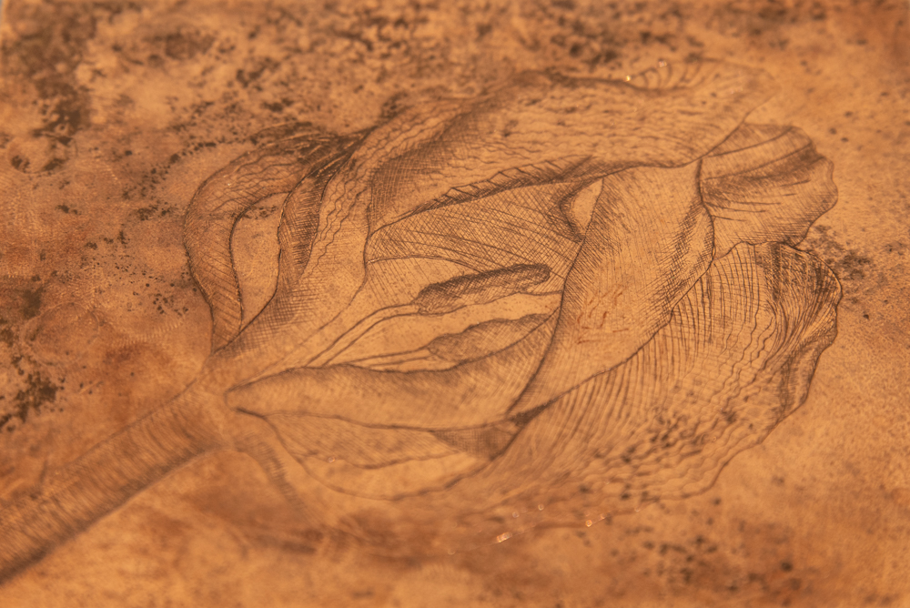 Detail of drypoint tulip plate