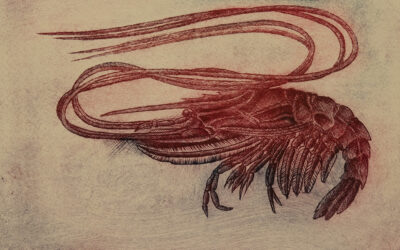 Tlač z hĺbky: Technika, ktorá spája presnosť a improvizáciu