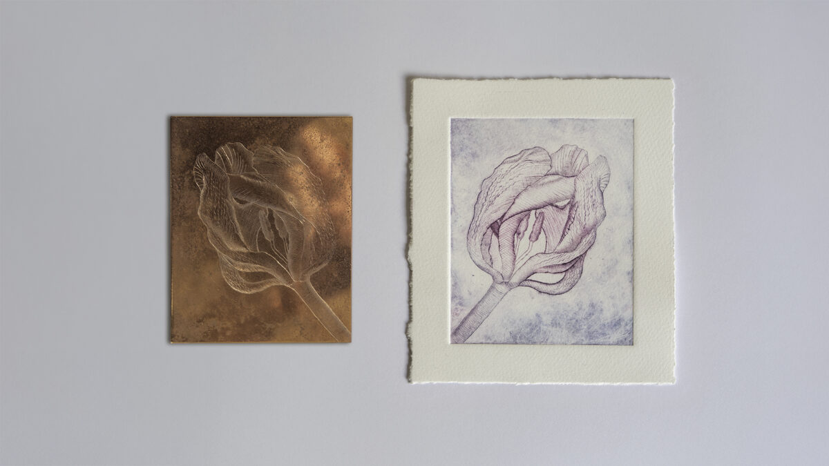 Tulipán – Tlač z hĺbky – postup